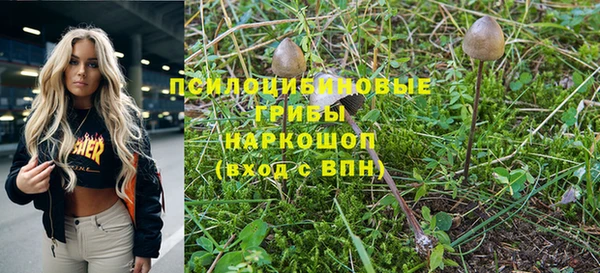 каннабис Арсеньев